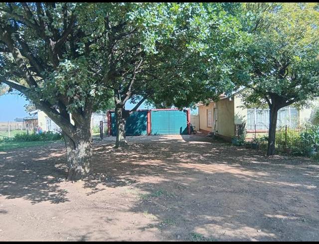 FARM FOR SALE IN SCHOONGEZICHT